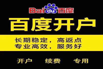 百度推广运营实战技巧：案例教学与实战